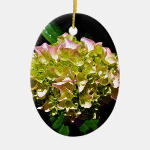 Groen gele roze Hydrangeenroze bloem Keramisch Ornament