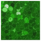 Groen glinsterend glitterpatroon stof (Close Up)