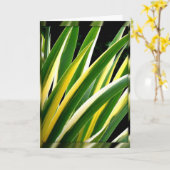 Groen & Goud Bladeren op Zwarte Kaart (Gele Bloem)