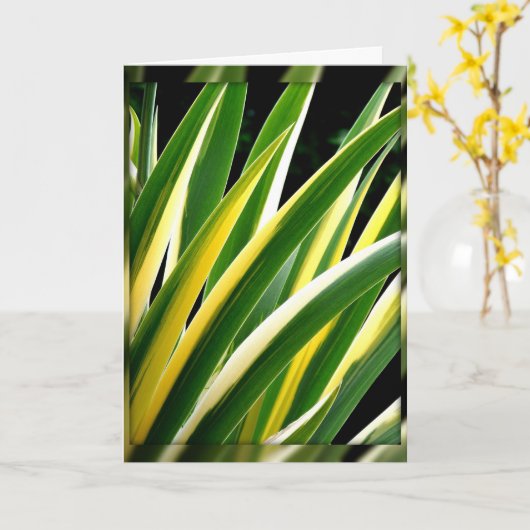 Groen & Goud Bladeren op Zwarte Kaart (Gele Bloem)