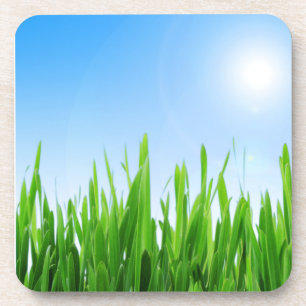 Groen gras Blauwe lucht Landschap-10826 Bier Onderzetter
