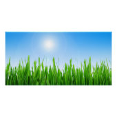 Groen gras Blauwe lucht Landschap-10826 Perfect Poster (Voorkant)