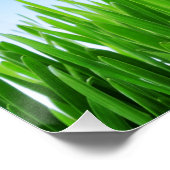 Groen gras Blauwe lucht Landschap-10826 Perfect Poster (Hoek)