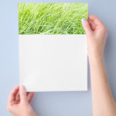 Groen gras flyer (Hand)