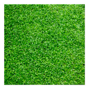 Groen gras perfect poster