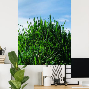 Groen gras tegen de achtergrond van het eindeloze poster