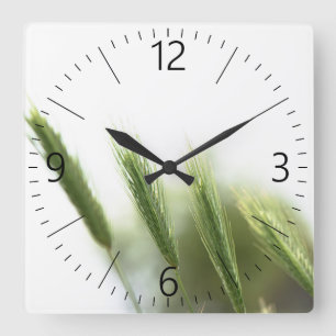 Groen gras vierkante klok