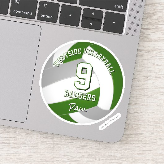 Groen Grijs Team Kleuren Volleybalspeler Sticker (Detail)