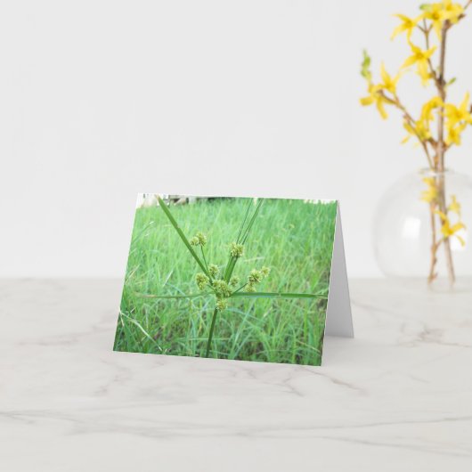 Groen, groen gras kaart (Gele Bloem)