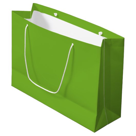 Groen Groot Cadeauzakje (Voorkant Gekanteld)