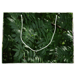 Groen in Yellowstone Groot Cadeauzakje