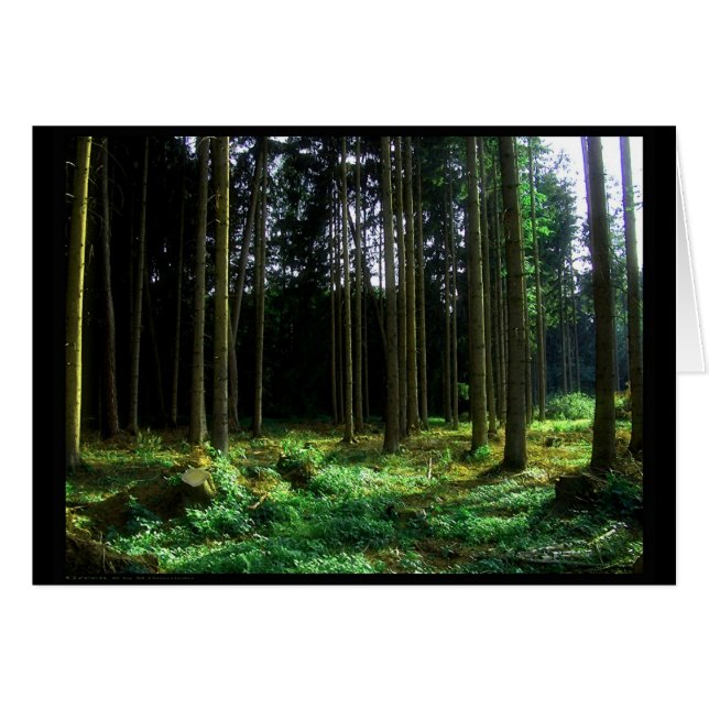 Groen (kaart) (Voorkant Horizontaal)