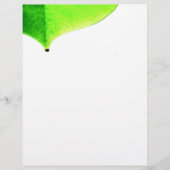 Groen laat flyer (Voorkant)