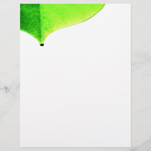 Groen laat flyer (Voorkant)