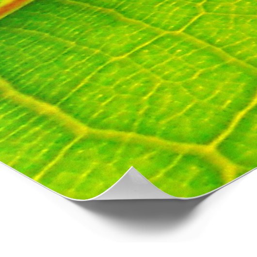 Groen leder poster (Hoek)