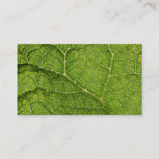 Groen lef. Digitale kunst. Visitekaartje