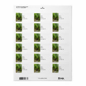 Groen lentestrollabel etiket (Full Sheet)