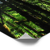 Groen licht. poster (Hoek)