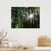 Groen licht. poster (Keuken)