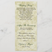 Groen lint, roestvast sneeuwvlok programma (Achterkant)