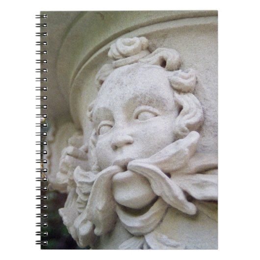 Groen Man Notitieboek (Voorkant)