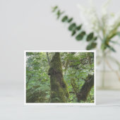 Groen mos briefkaart (Staand voorkant)