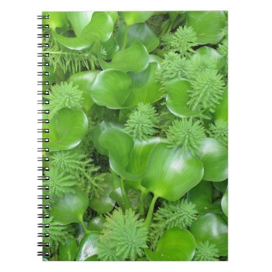 Groen Notitieboek (Voorkant)