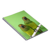 Groen notitieboek (Rechterzijde)