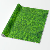 Groen omlooppapier cadeaupapier (Uitgerold)