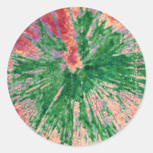 Groen op rood en Oranje schildpad Ronde Sticker