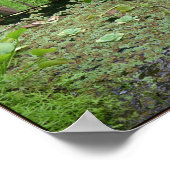 groen op water poster (Hoek)