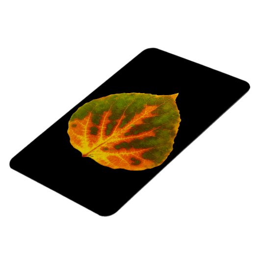 Groen Oranje en geel esdoorn Leaf #1 Magneet (Linkerzijde)