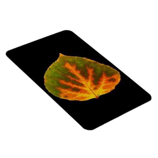 Groen Oranje en geel esdoorn Leaf #1 Magneet (Rechterzijde)