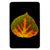 Groen Oranje en geel esdoorn Leaf #1 Magneet (Verticaal)