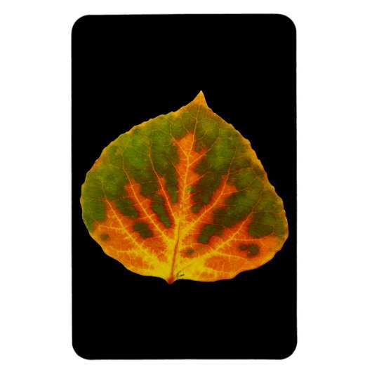 Groen Oranje en geel esdoorn Leaf #1 Magneet (Verticaal)