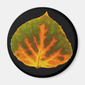Groen Oranje en geel esdoorn Leaf #1 Magneet (Voorkant)