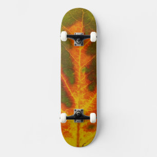 Groen Oranje en geel esdoorn Leaf #1 Skateboard