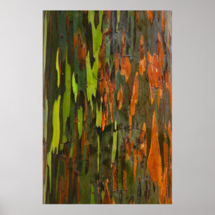 Groen, oranje en zwart abstract schilderen poster