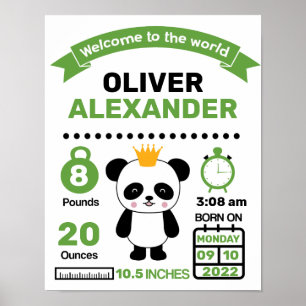 Groen Panda Baby Birth Statistics Poster