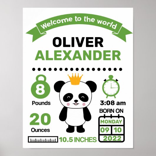 Groen Panda Baby Birth Statistics Poster (Voorkant)