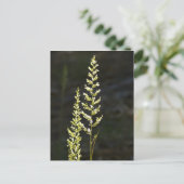 Groen Plant Briefkaart (Staand voorkant)