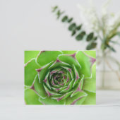 Groen plant briefkaart (Staand voorkant)