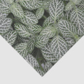 Groen Plant laat botanisch over Tissuepapier (Detail)