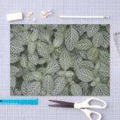 Groen Plant laat botanisch over Tissuepapier (Craft)