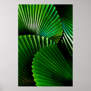 Groen plant poster