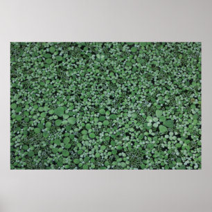 Groen plant poster