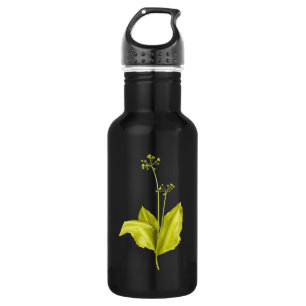 Groen Plant Wilde knoflook Botanisch Waterfles