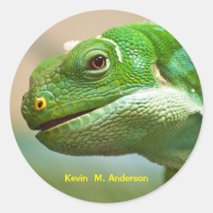 Groen reptielgezicht Sluiten Gepersonaliseerd Ronde Sticker