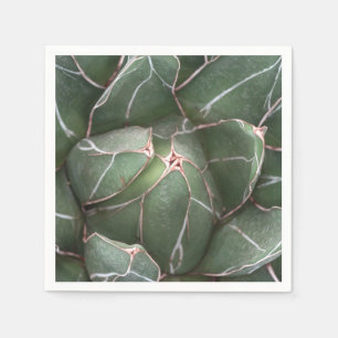 Groen Succulent Plant Foto Cocktail Paper Napkins Servetten