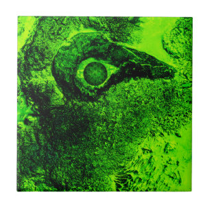 groen tegeltje